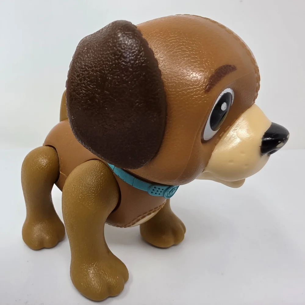 N/A dog has